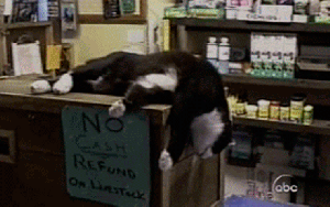 job-sleepin-GIF-source